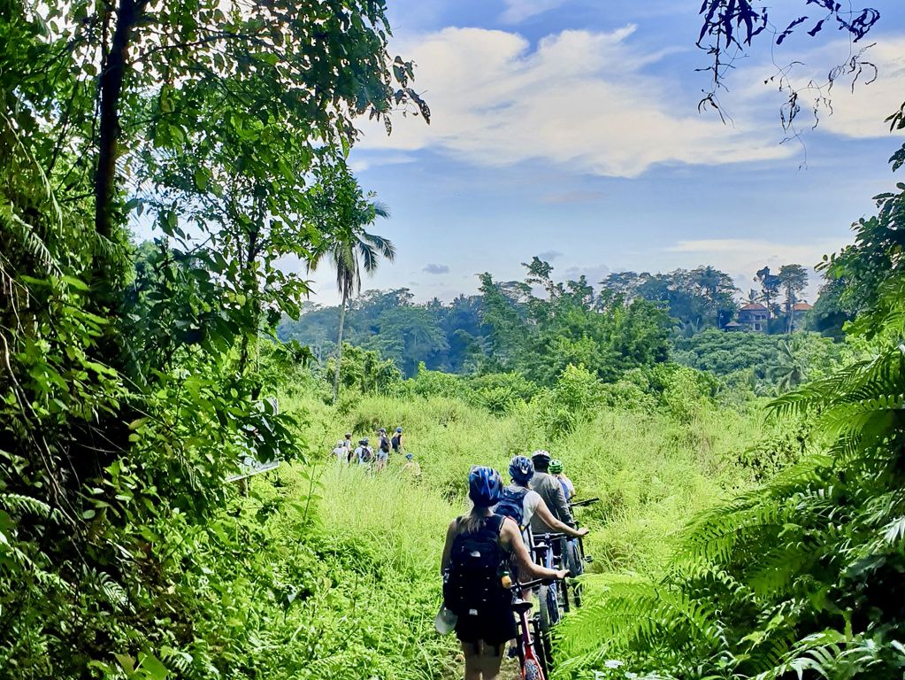 Rijstveld fietstocht Bali